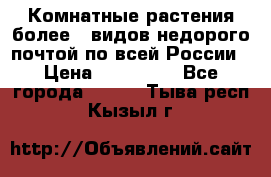 Комнатные растения более200видов недорого почтой по всей России › Цена ­ 100-500 - Все города  »    . Тыва респ.,Кызыл г.